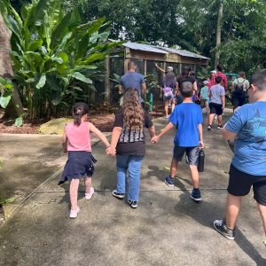 Flamingo Gardens