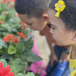 Flamingo Road Nursery
